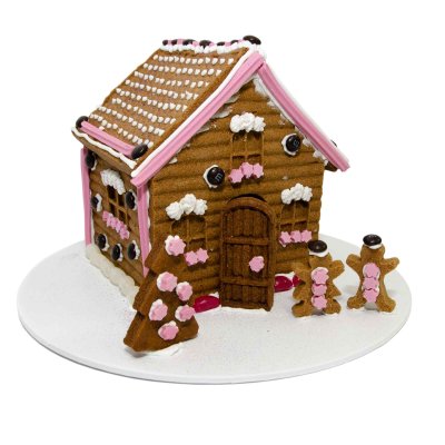 Silicone gingerbread hotsell house mold