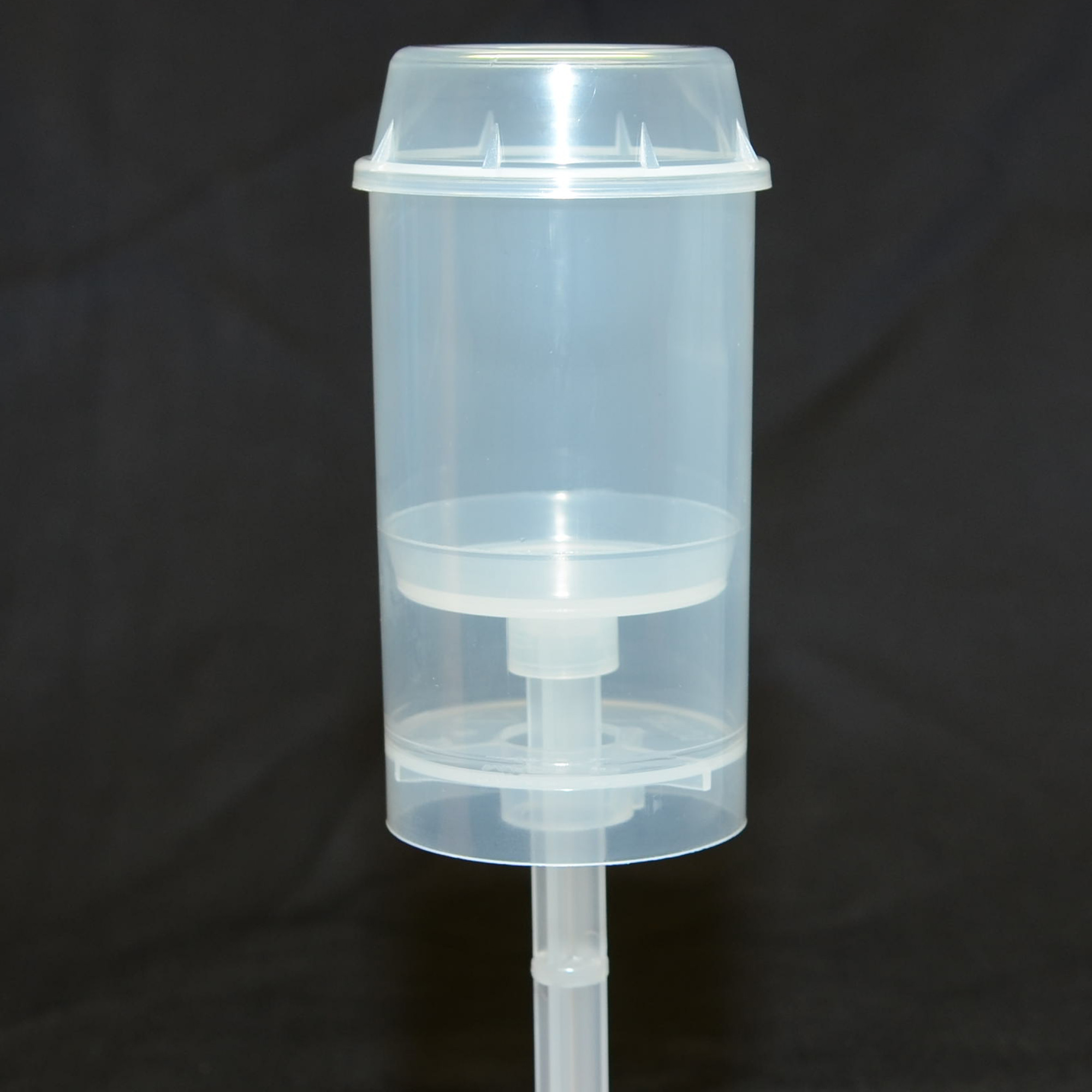 Push Pop Cake Containers and Push Pop Boxes Lollipop Cake Supplies