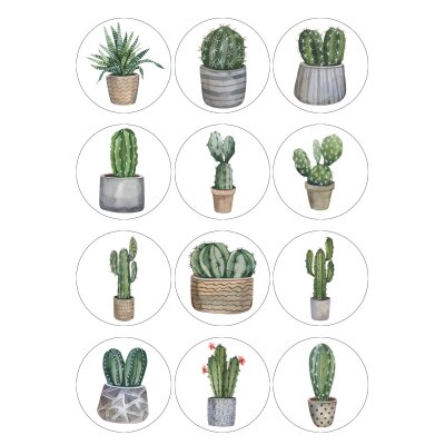 Pre-Designed Edible Images - Cupcake Toppers - Cactus | Lollipop Cake ...