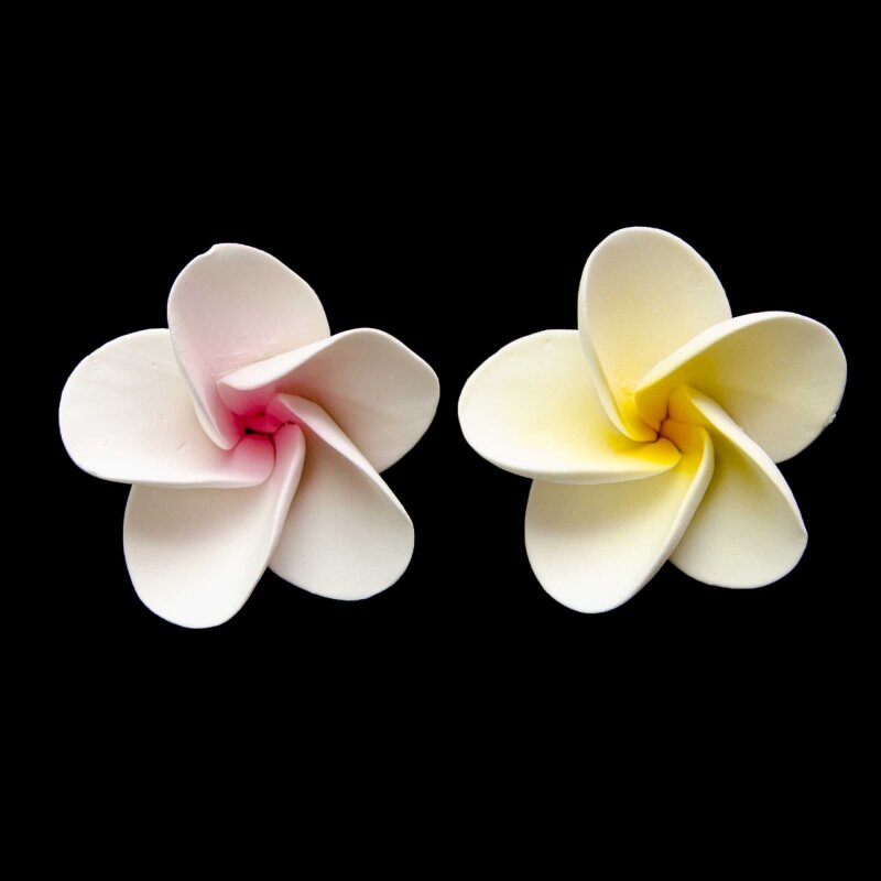 Large Frangipani Sugar Flower Lollipop Cake Supplies